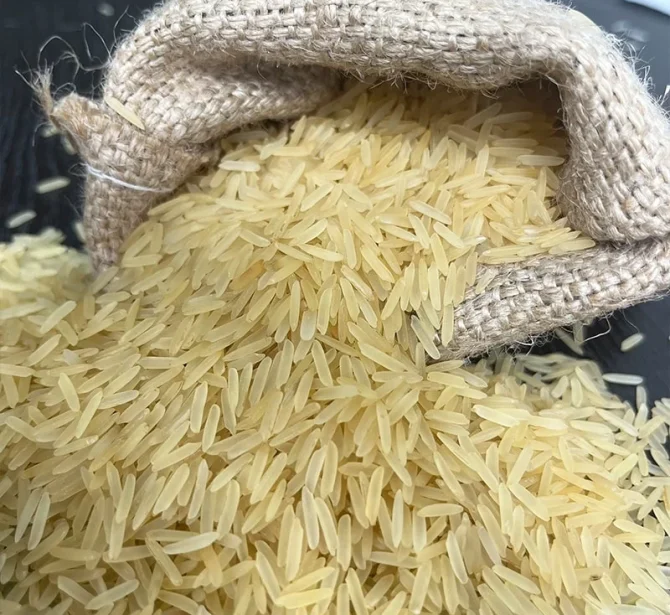 1121 Golden Sella Basmati Rice-min_16963308342614