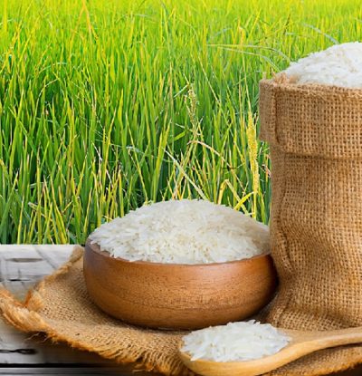 How-can-I-start-my-own-rice-export-business